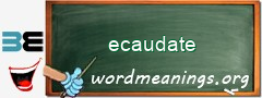 WordMeaning blackboard for ecaudate